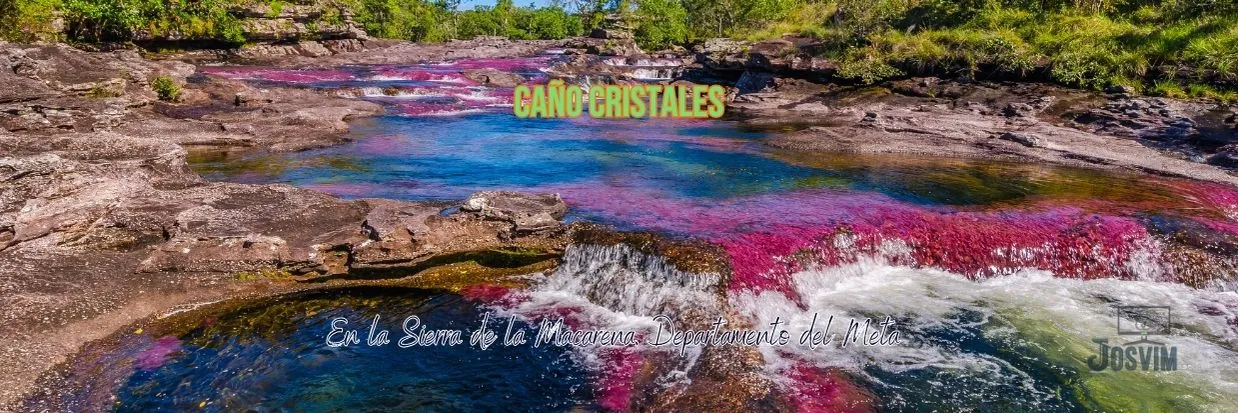 Caño Cristales en Colombia dignos de conocer, invia Josvim