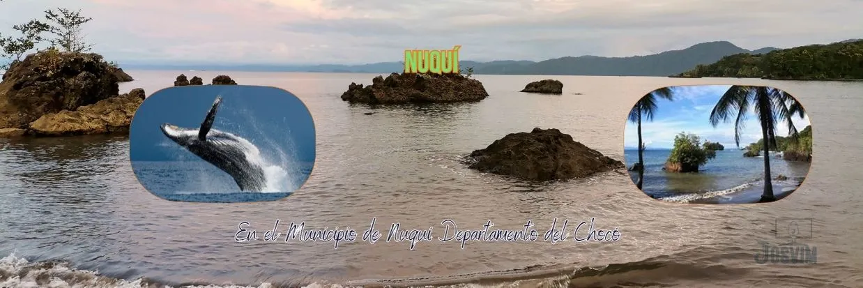 Nuquí en el Chocó es uno de los destinos singulares en Colombia